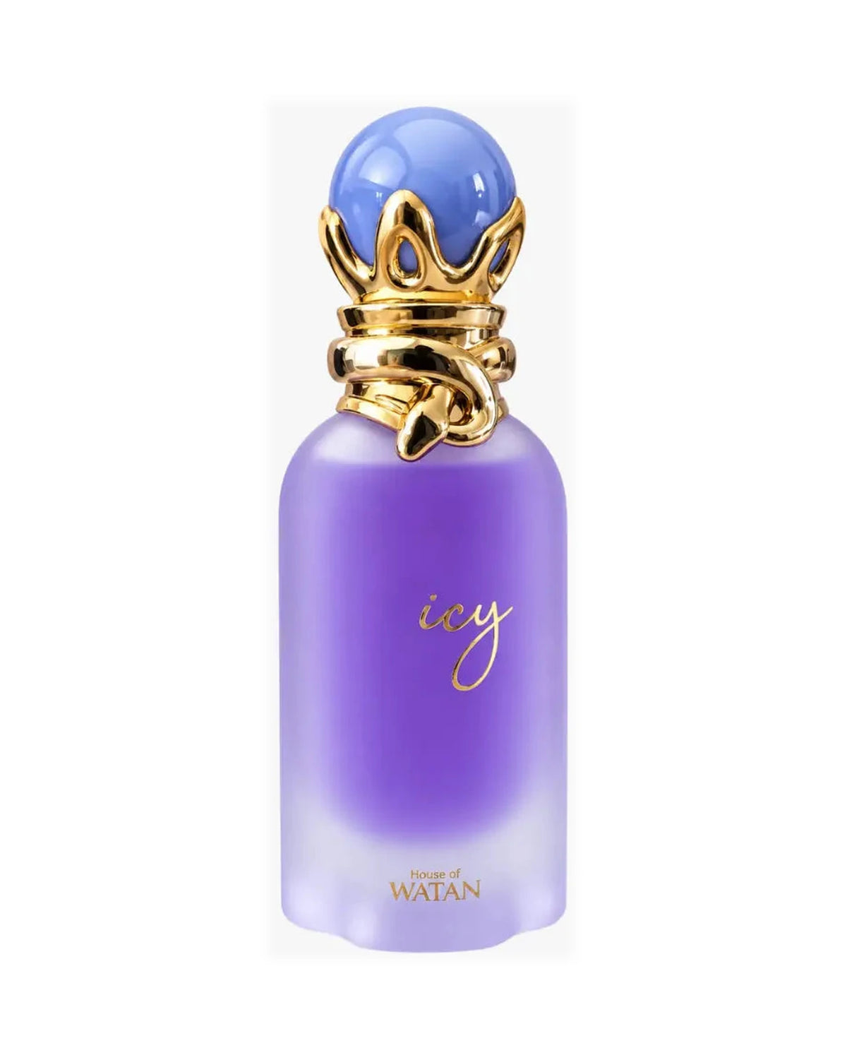 Aroma Concepts Icy (100ml) parfumfles